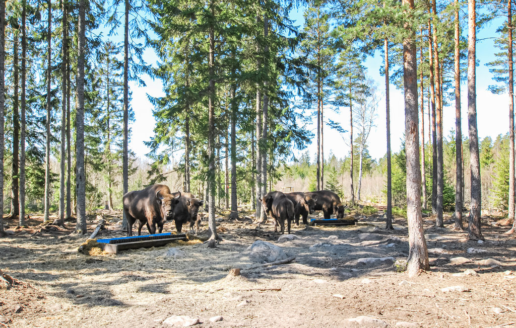 Feriehuse - Kosta Lodge , Sverige - S35351 15
