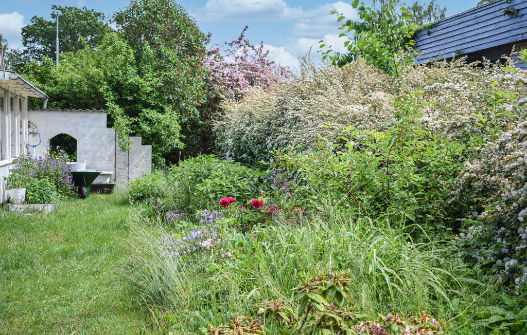 Feriehus - Ljungbyholm , Sverige - S35493 8