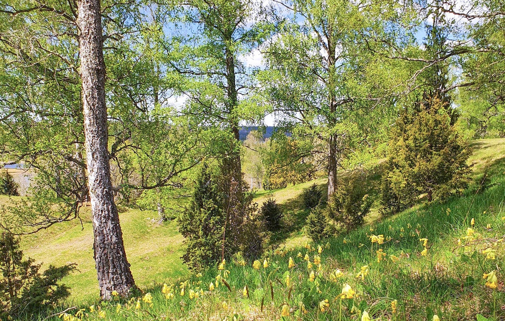 Ferienhaus - Vimmerby , Schweden - S35501 6