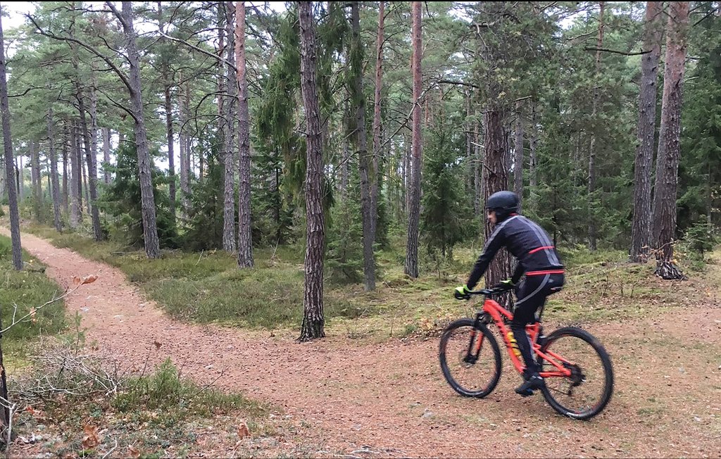 Ferienhaus - Drag/Kalmar , Schweden - S35087 19