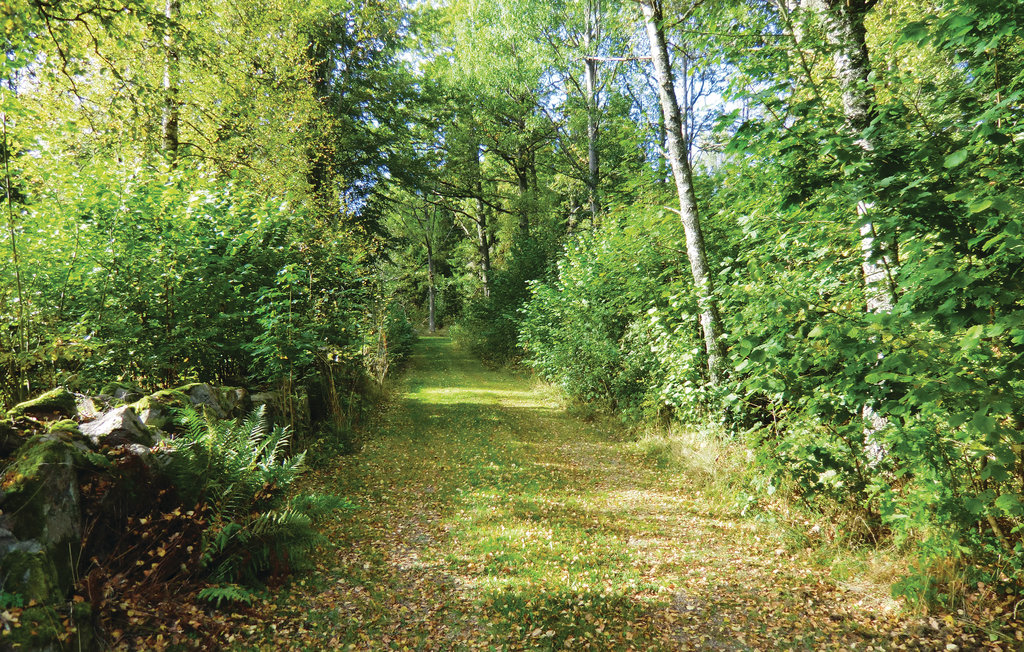 Ferienhaus - Gullabo , Schweden - S35025 6