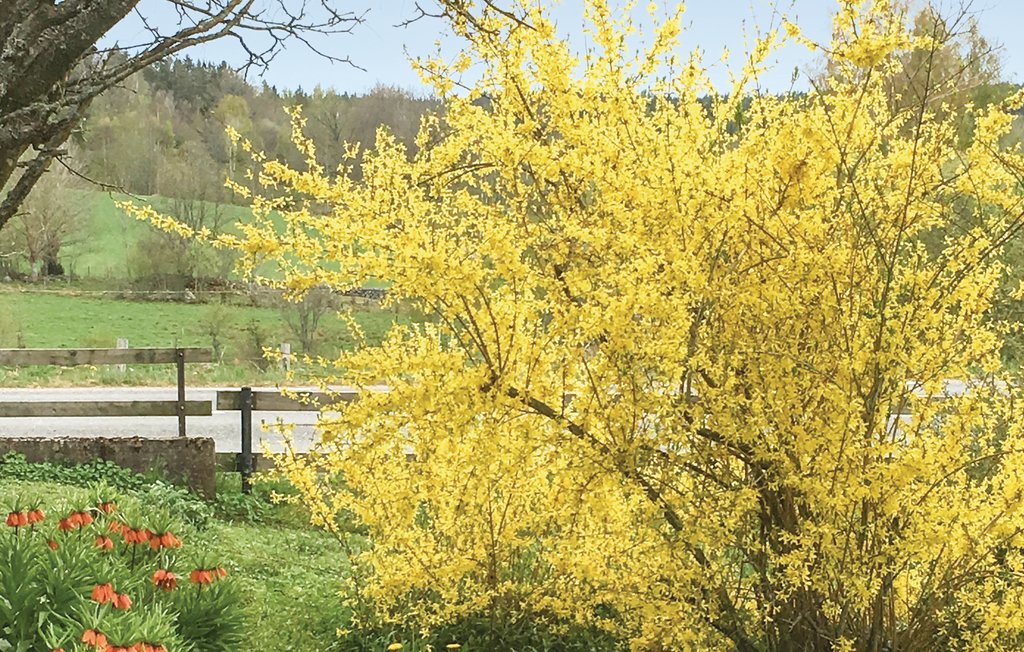 Feriehus - Virserum , Sverige - S35234 7