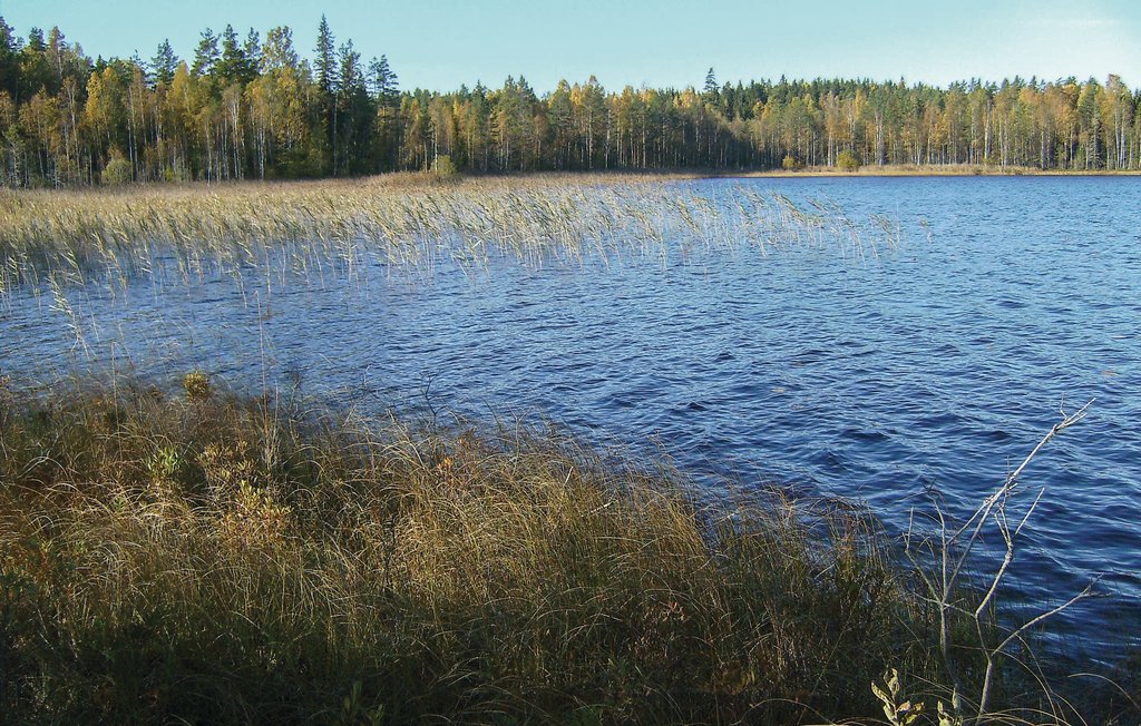 Ferienhaus - Fågelfors , Schweden - S35028 19