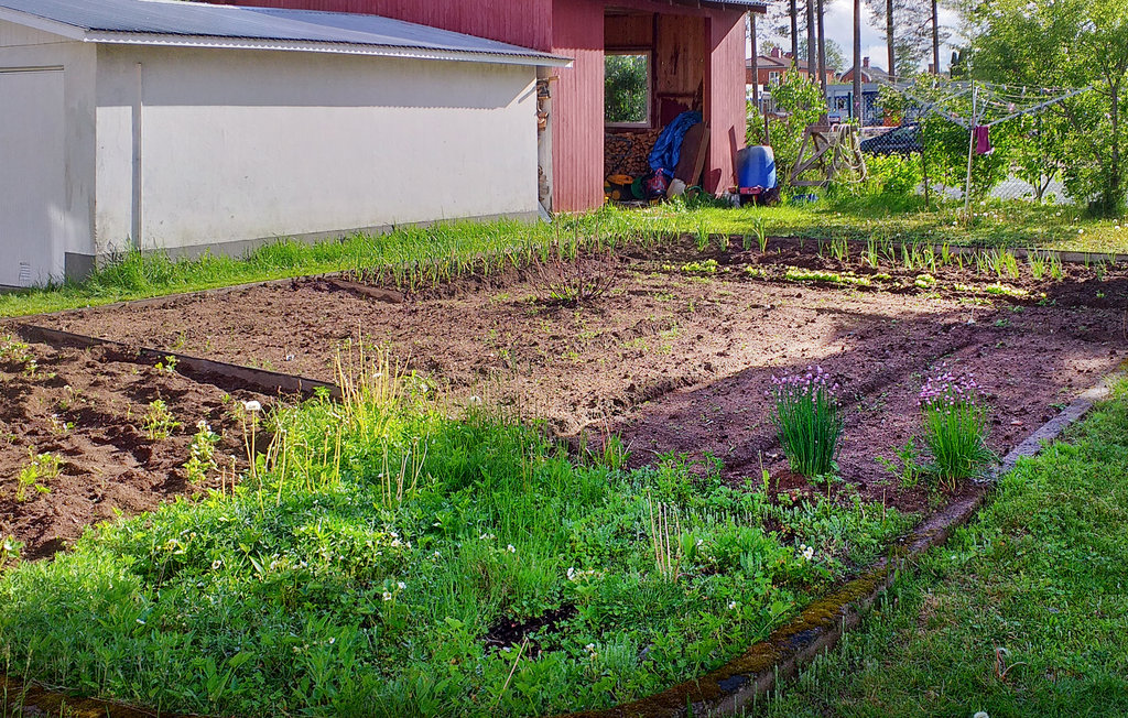 Ferienwohnung - Hultsfred , Schweden - S35517 5