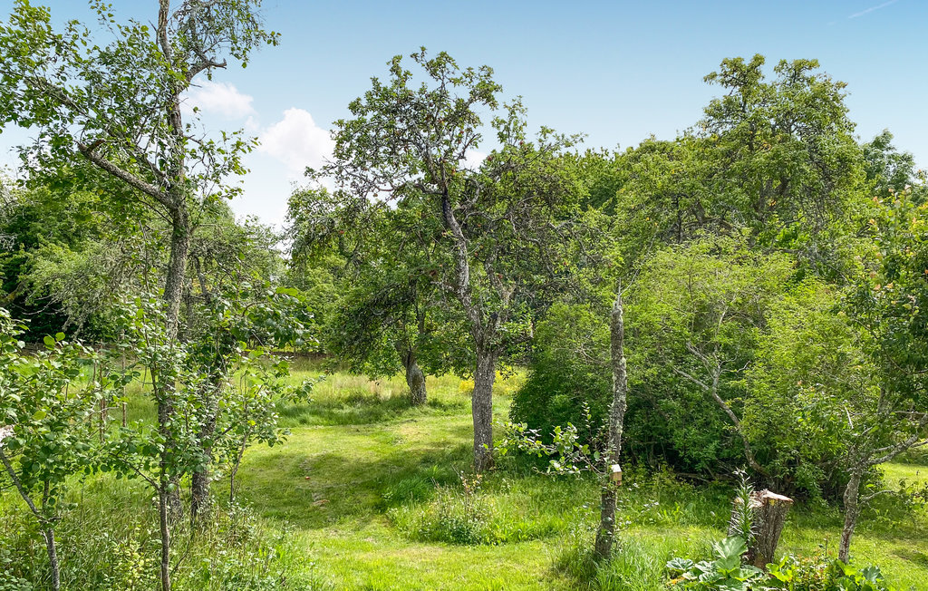 Feriehus - Vimmerby , Sverige - S35603 14
