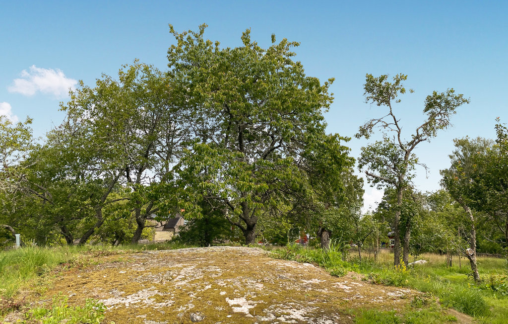 Feriehus - Vimmerby , Sverige - S35603 15