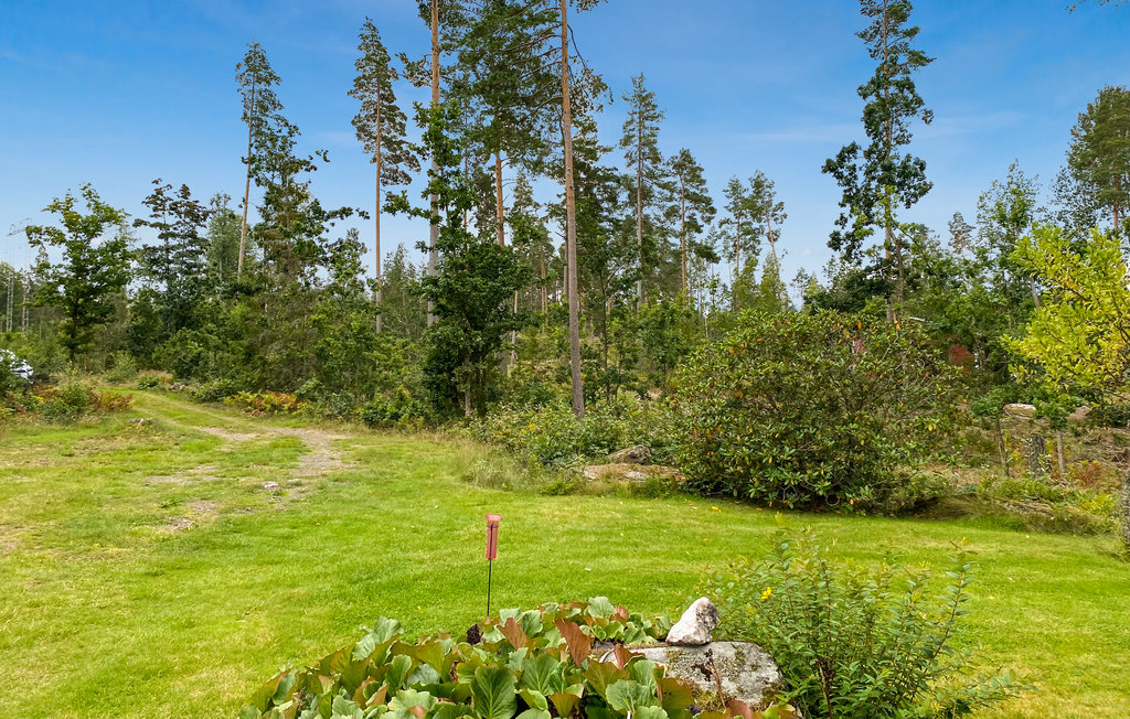 Semesterhus - Högsby/Oskarshamn , Sverige - S35612 14