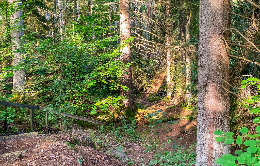 Ferienhaus - Källdalen/Nybro , Schweden - S35622 13