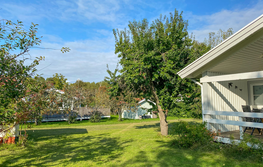Semesterhus - Öland, Djupvik Borgholm Kalmar , Sverige - S35616 10
