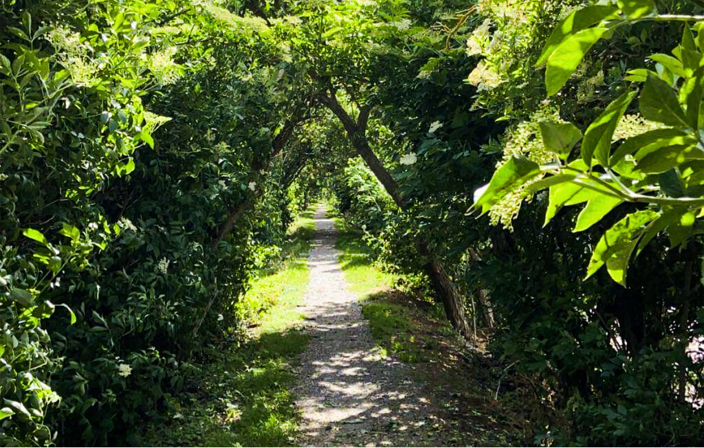 Ferienhaus - Mörbylånga , Schweden - S35638 29