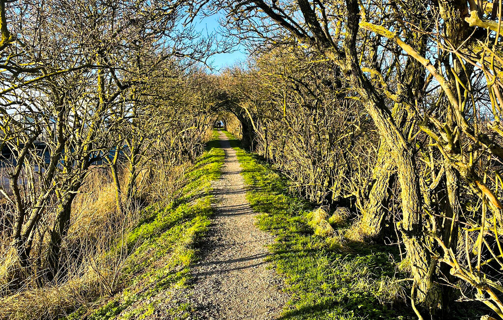 Ferienhaus - Mörbylånga , Schweden - S35638 30
