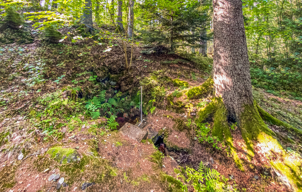 Ferienhaus - Källdalen/Nybro , Schweden - S35627 15