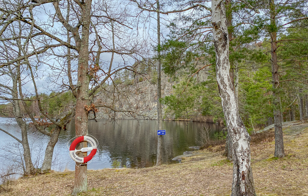 Domy wakacyjne - Högsby Allgunnen , Szwecja - S35653 12