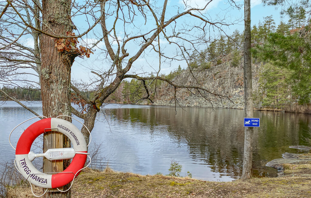 Domy wakacyjne - Högsby Allgunnen , Szwecja - S35653 13