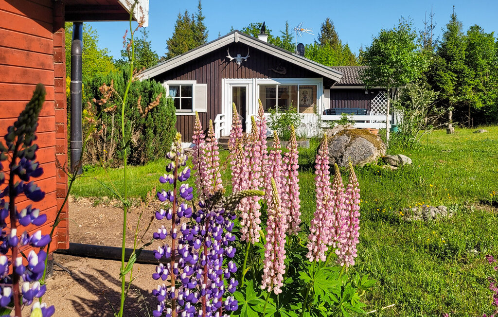 Domy wakacyjne - Högsby Allgunnen , Szwecja - S35653 10