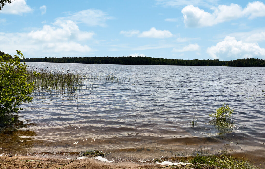 Location de vacances - Oskarshamn , Suède - S35661 24