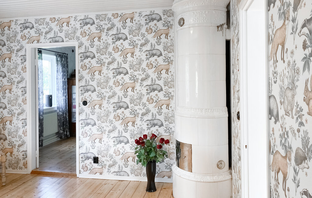 Ferienhaeuser - Kalmar/Mönsterås/Oskarshamn , Schweden - S35673 17