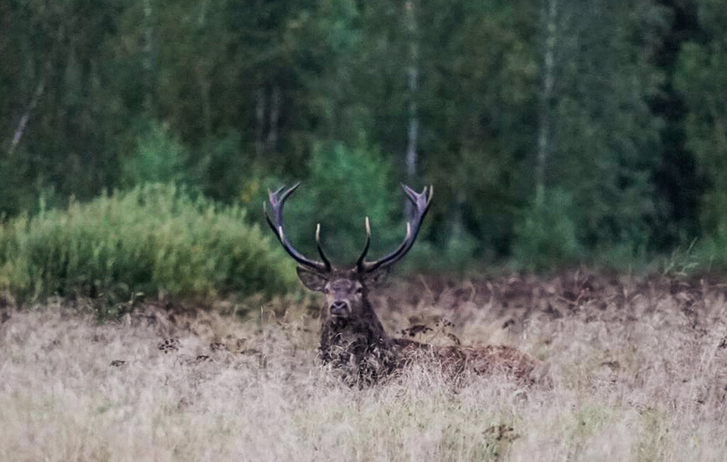 Feriehus - Oskarshamn Figeholm , Sverige - S35637 26