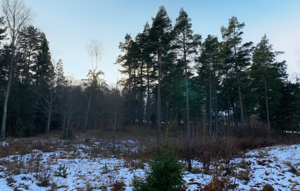 Ferienhaus - Mönsterås/Kalmar , Schweden - S35693 10