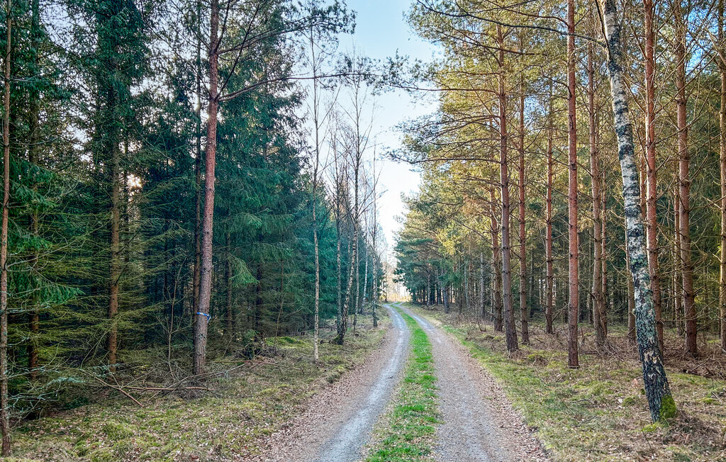 Feriehus - Kalmar/Karlskrona/Bergkvara , Sverige - S35718 7