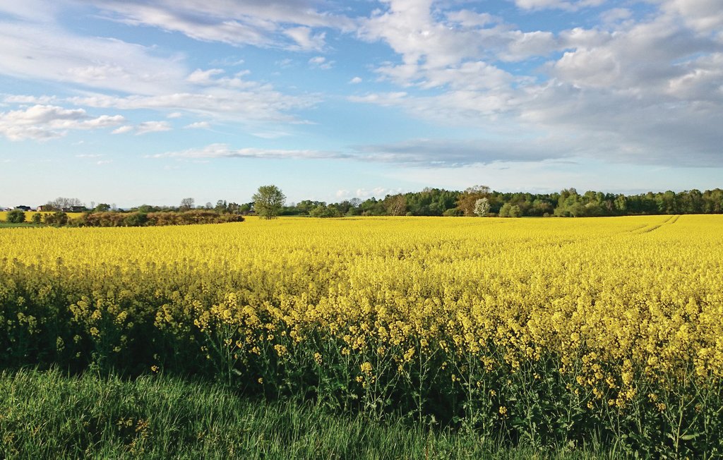 Feriehuse - Köpingsvik , Sverige - S41444 17