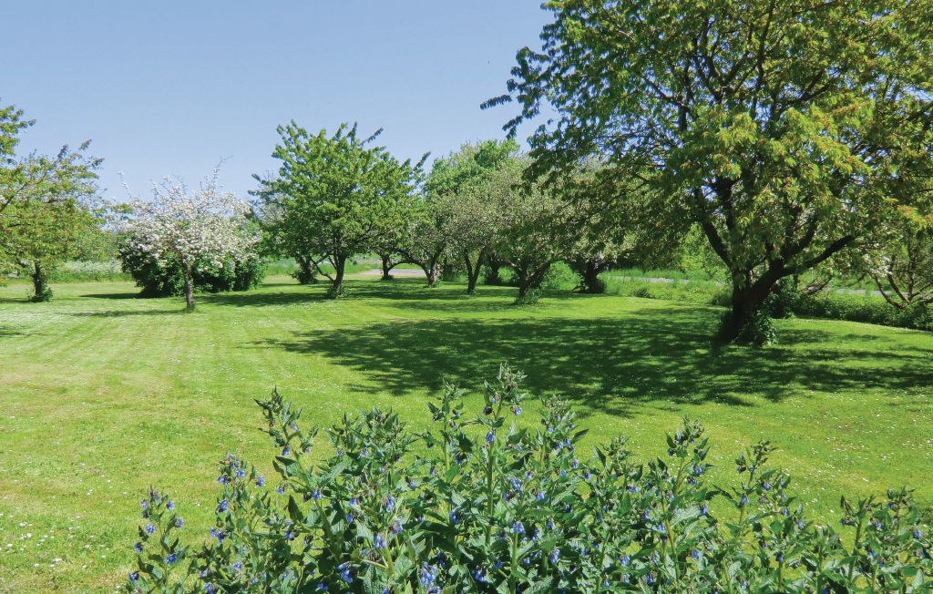 Feriehuse - Möllstorp/Färjestaden , Sverige - S41320 5