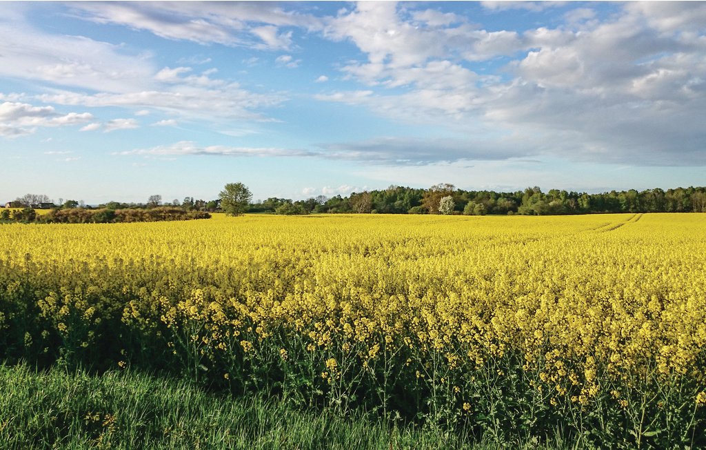 Semesterhus - Köpingsvik , Sverige - S41445 12
