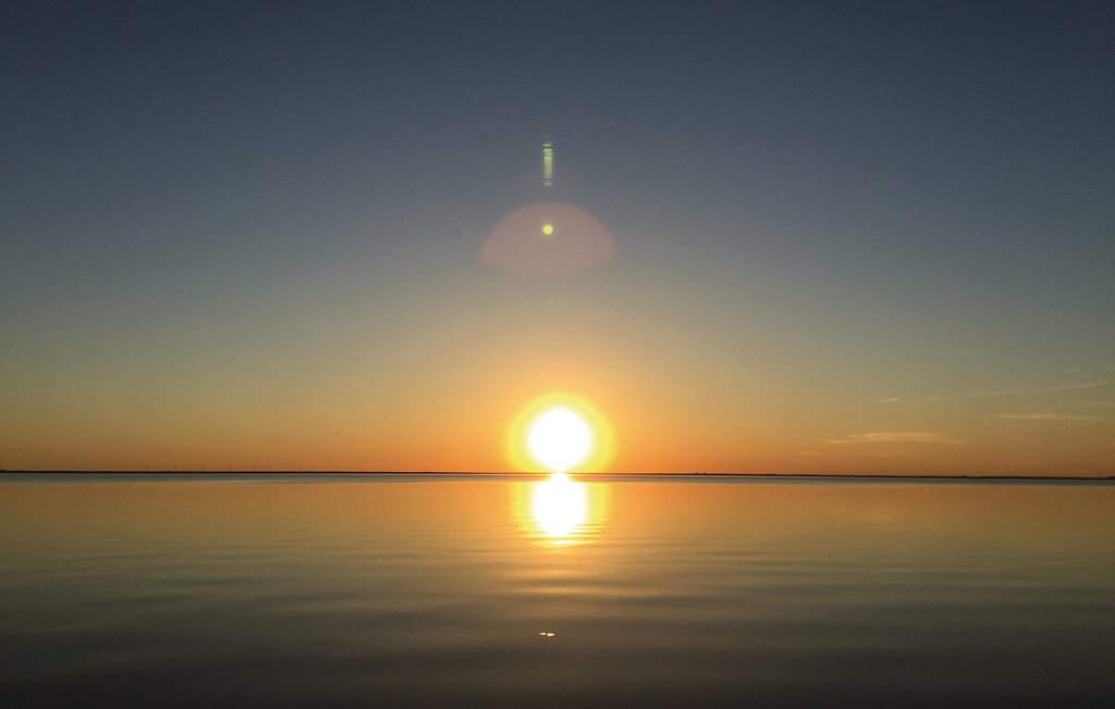 Domy wakacyjne - Stora Frö/Haga Park , Szwecja - S41242 16