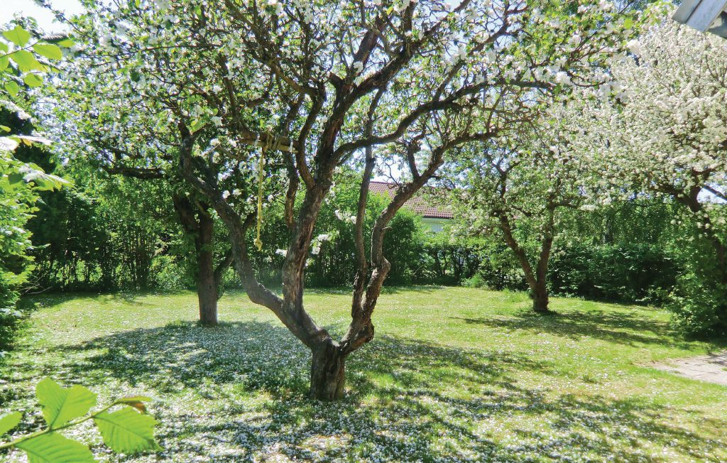 Feriehuse - Mörbylånga , Sverige - S41317 6
