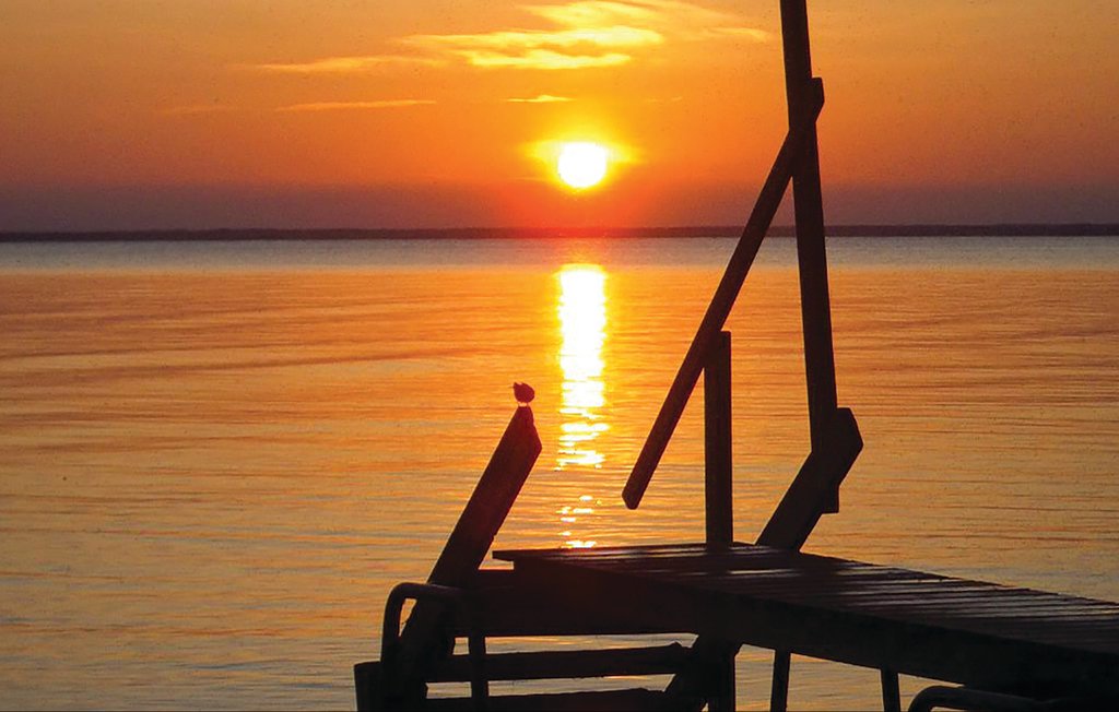 Domy wakacyjne - Stora Frö/Haga Park , Szwecja - S41242 17