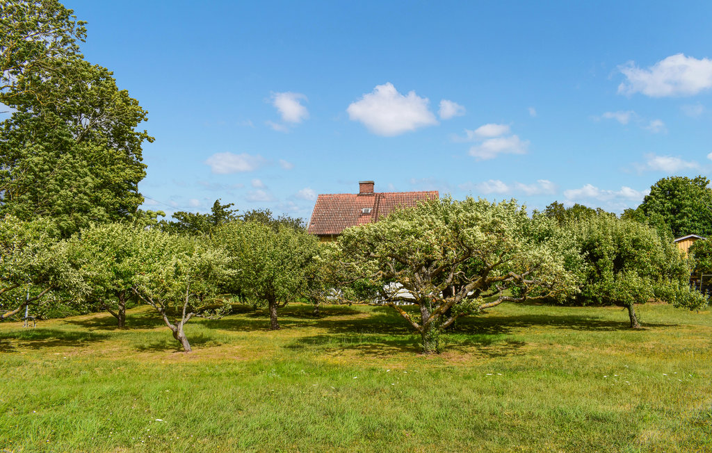Semesterhus - Mörbylånga , Sverige - S41694 9