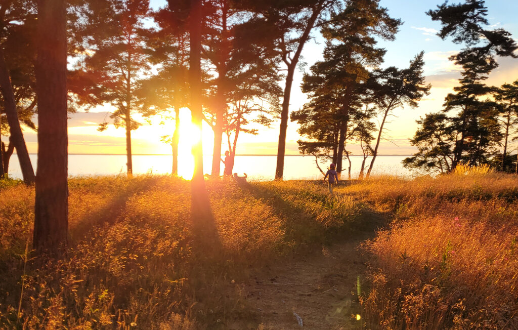 Semesterhus - Sandbergen/Mörbylånga , Sverige - S41697 9