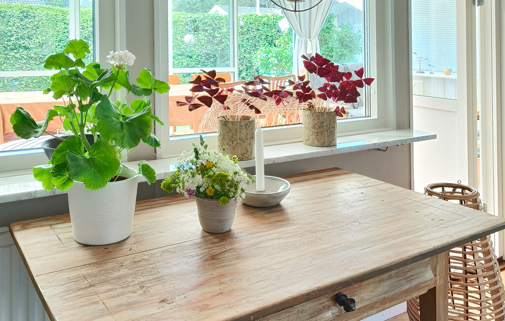 Semesterhus - Sandbergen/Mörbylånga , Sverige - S41697 6
