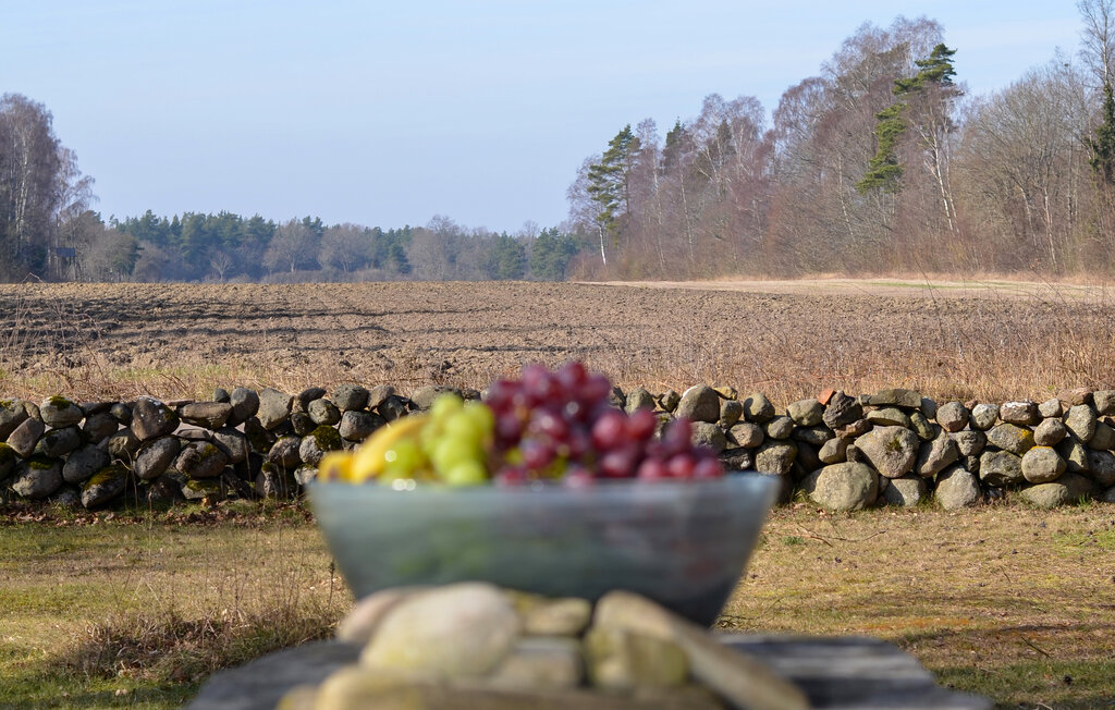 Semesterhus - Borgholm , Sverige - S41686 8