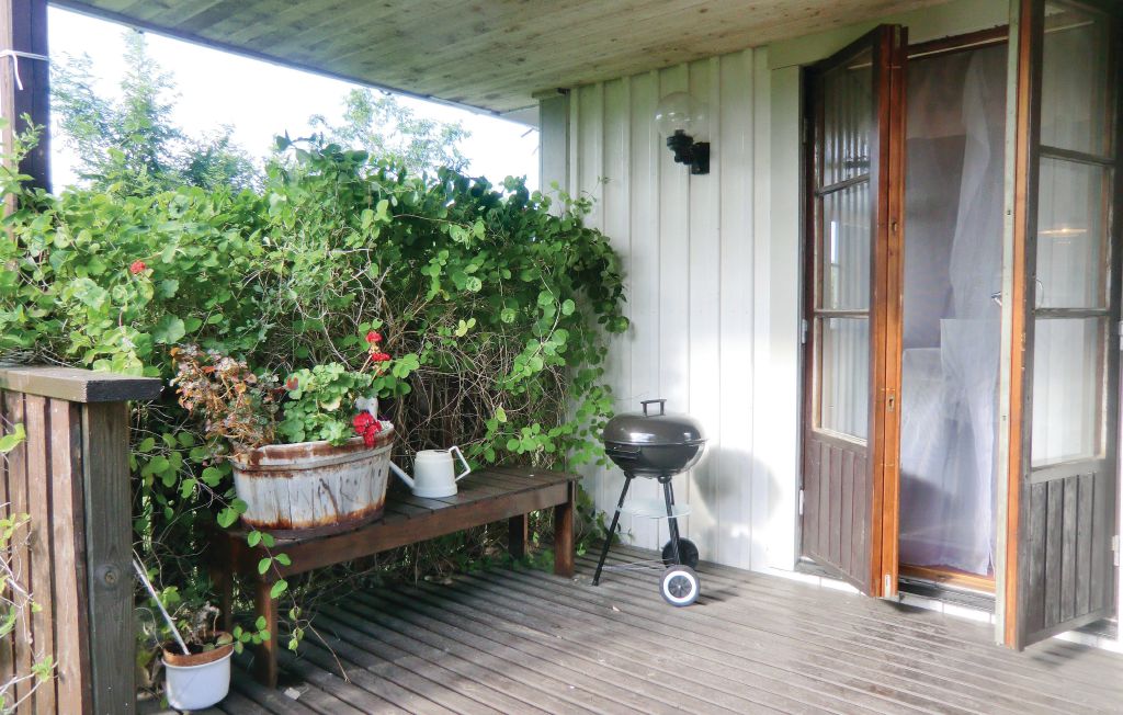 Bild 5 Bild 5