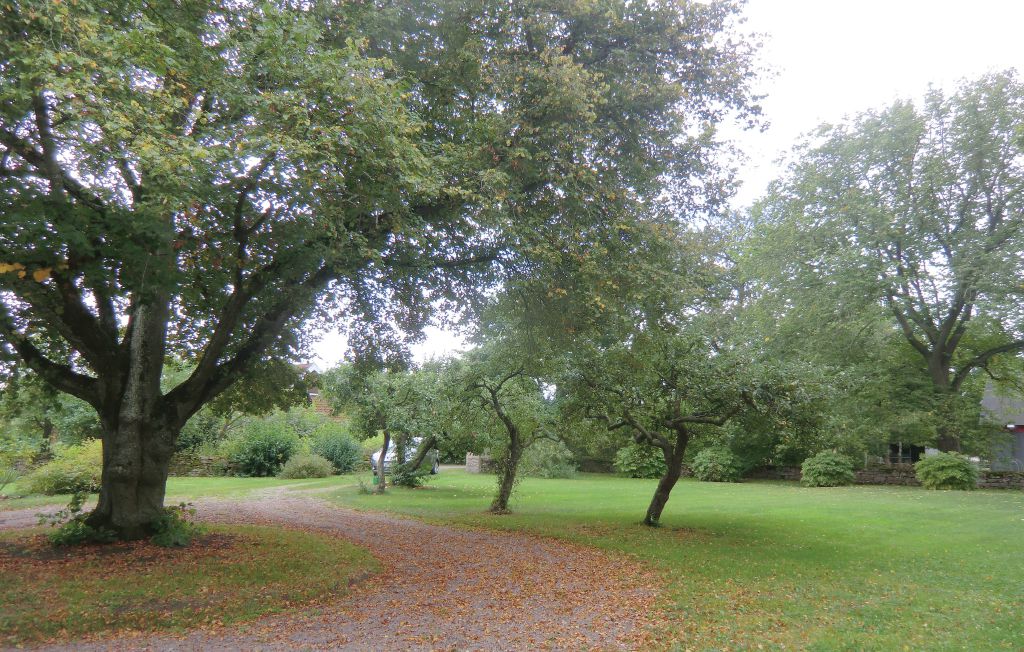 Gård i Borgholm, 2 bäddar – bild 5 av 5