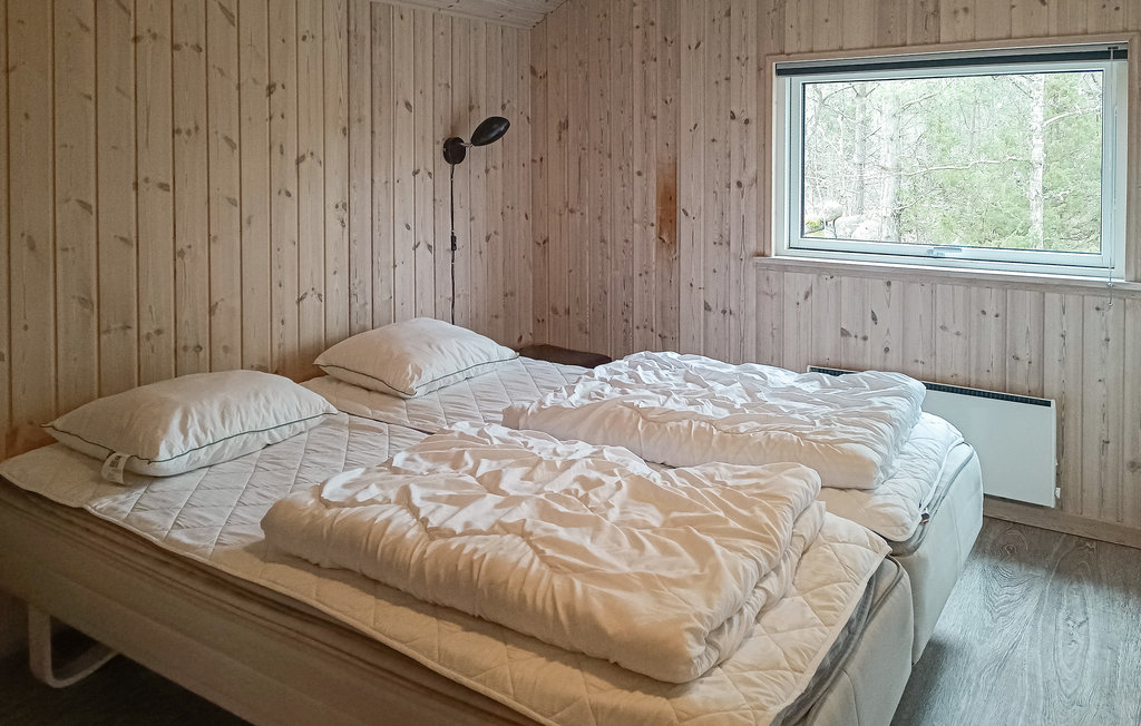 Bild 11 Bild 11