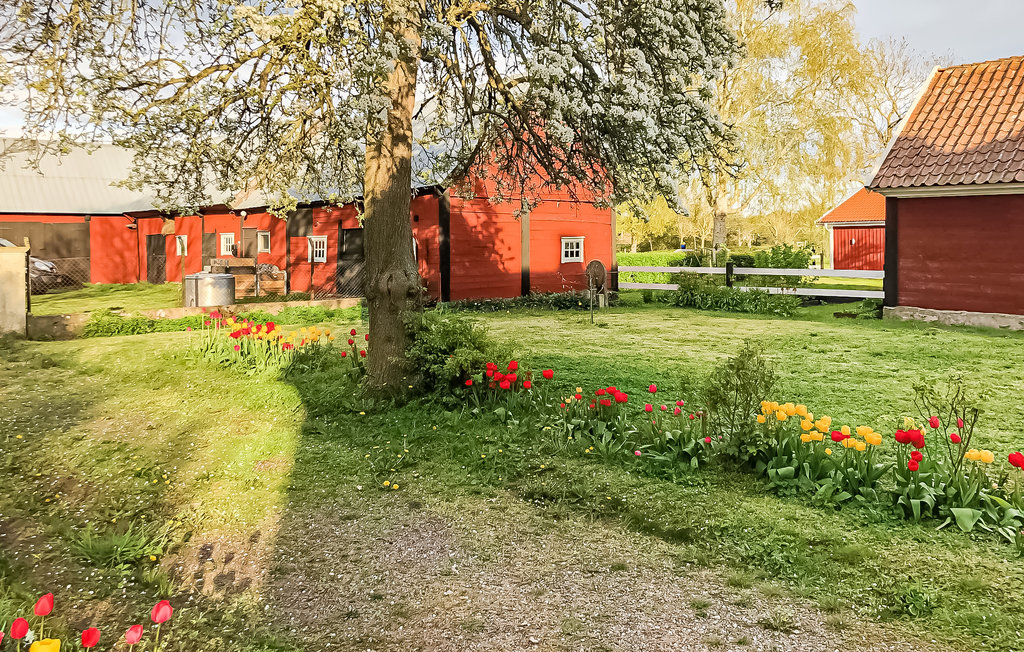 Bild 5 Bild 5