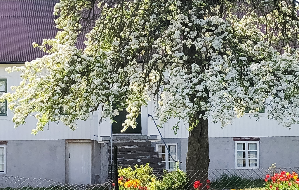 Hier leben Sie wirklich in einem echten Øland Dorf. Hjärpestad liegt nur 5 Kilometer von Köpingsvik entfernt, das für seine kilometerlangen Sandstrände am Kalmar Sund bekannt ist. Hier finden Sie..