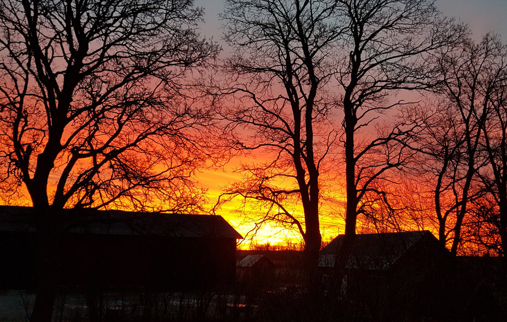 Semesterhus - Hogrän Allvide , Sverige - S42673 13