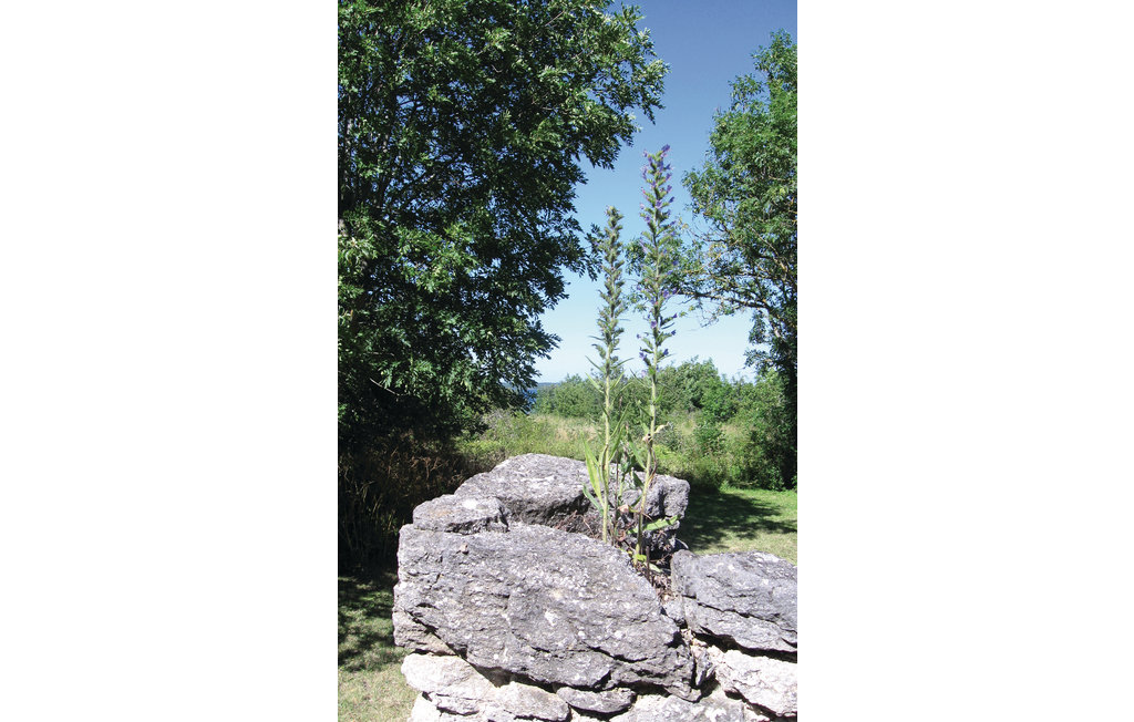 Semesterhus - Fårösund , Sverige - S42203 5