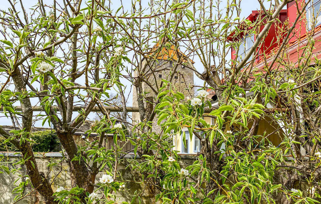 Feriehuse - Visby , Sverige - S42627 11