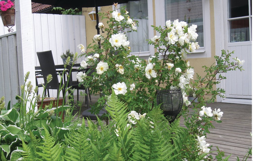 Ferienhaus - Visby , Schweden - S42180 9