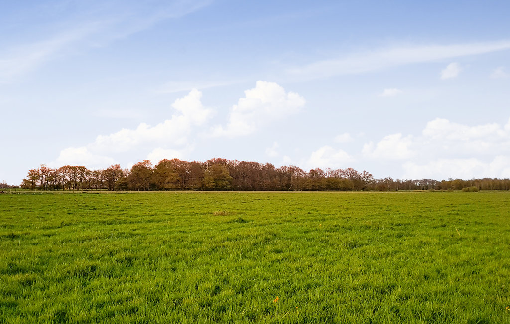 Semesterhus - Hogrän Allvide , Sverige - S42673 12