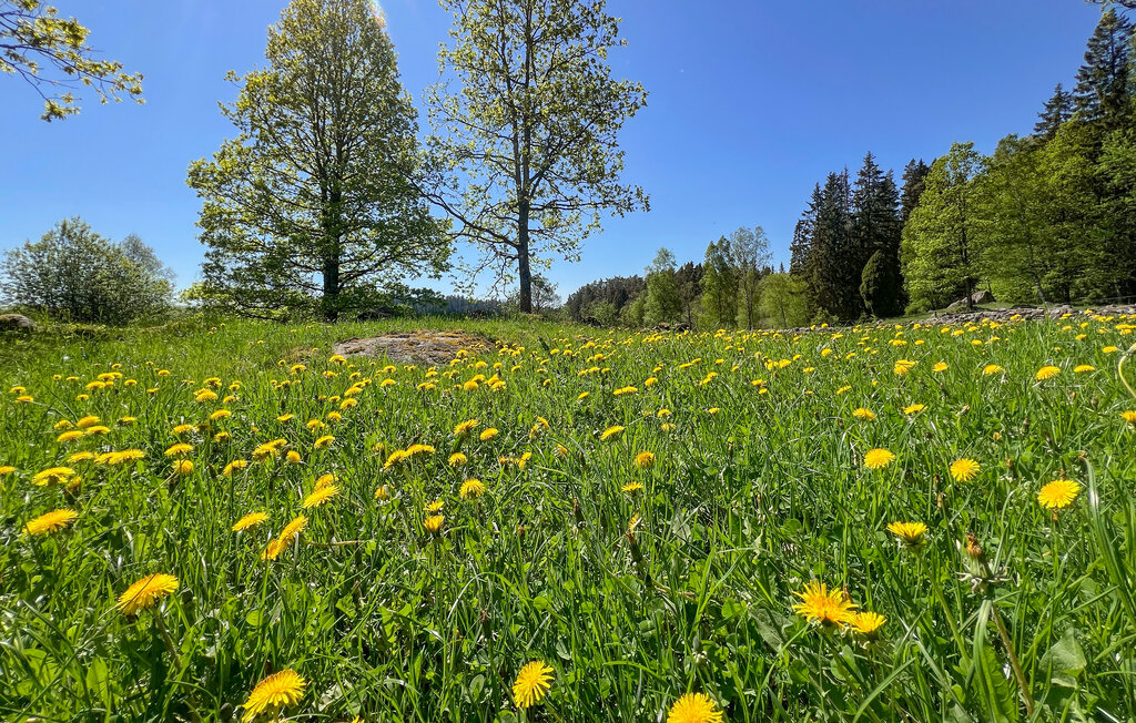 Feriehus - Hökerum/Ulricehamn , Sverige - S42701 27