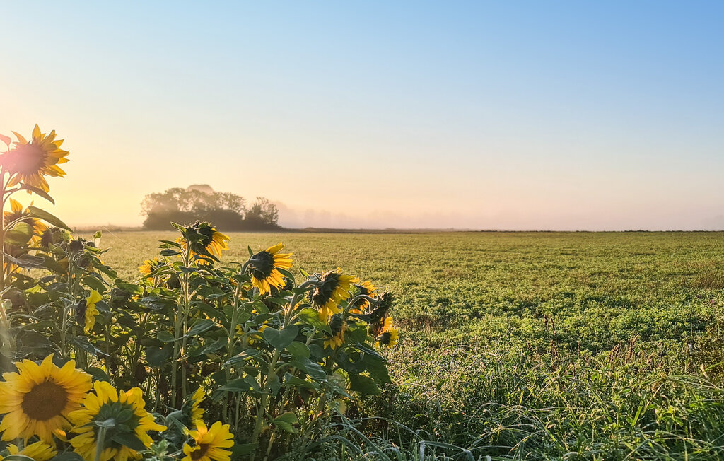 Semesterhus - Stånga Gumbalde , Sverige - S42714 16