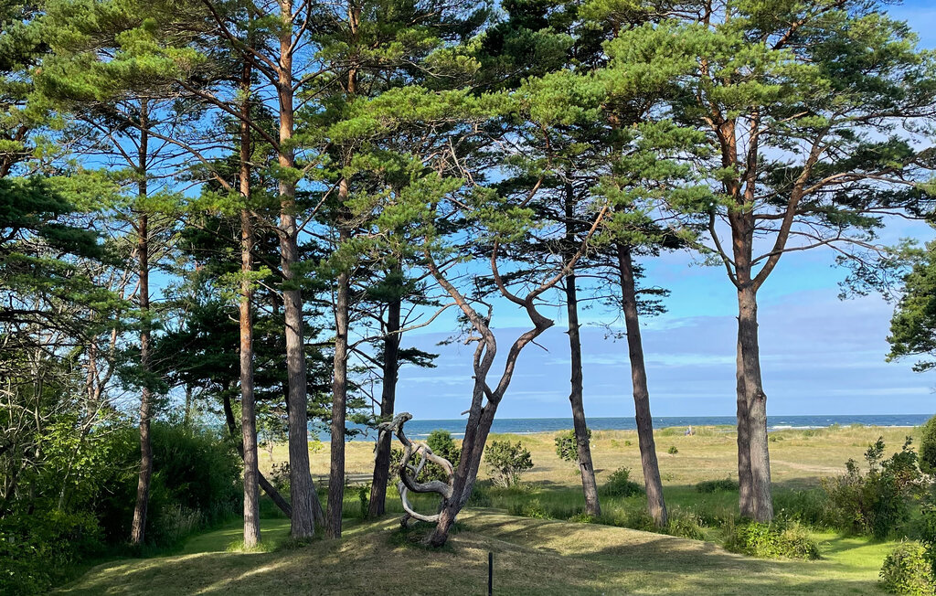 Feriehuse - Tofta Gnisvärd , Sverige - S42709 14