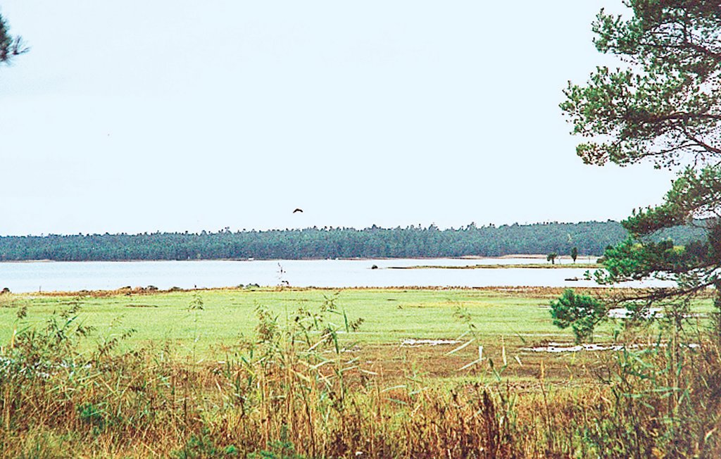 Stuga i Lärbro, 3 bäddar – bild 2 av 5
