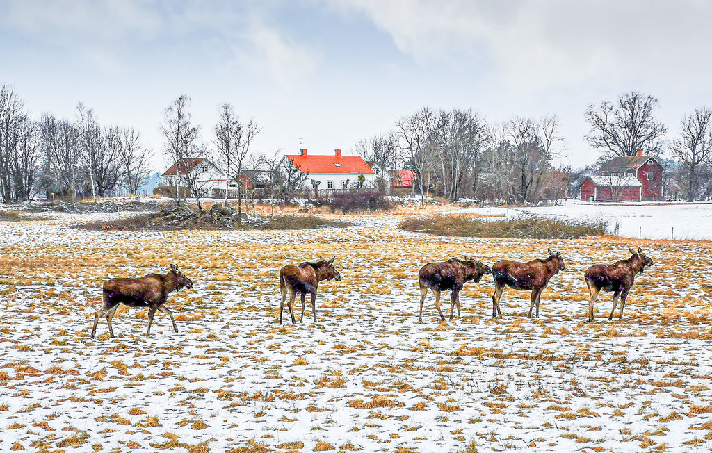 Feriehuse - Sundbyholm/Eskilstuna , Sverige - S43179 16