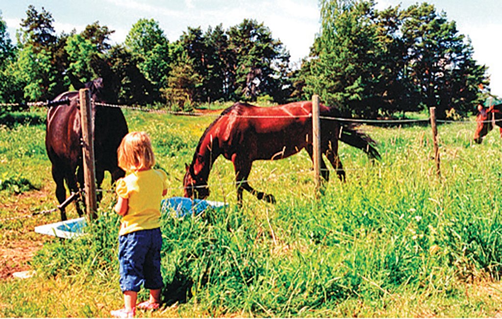 Feriehuse - Sundbyholm/Eskilstuna , Sverige - S43179 11